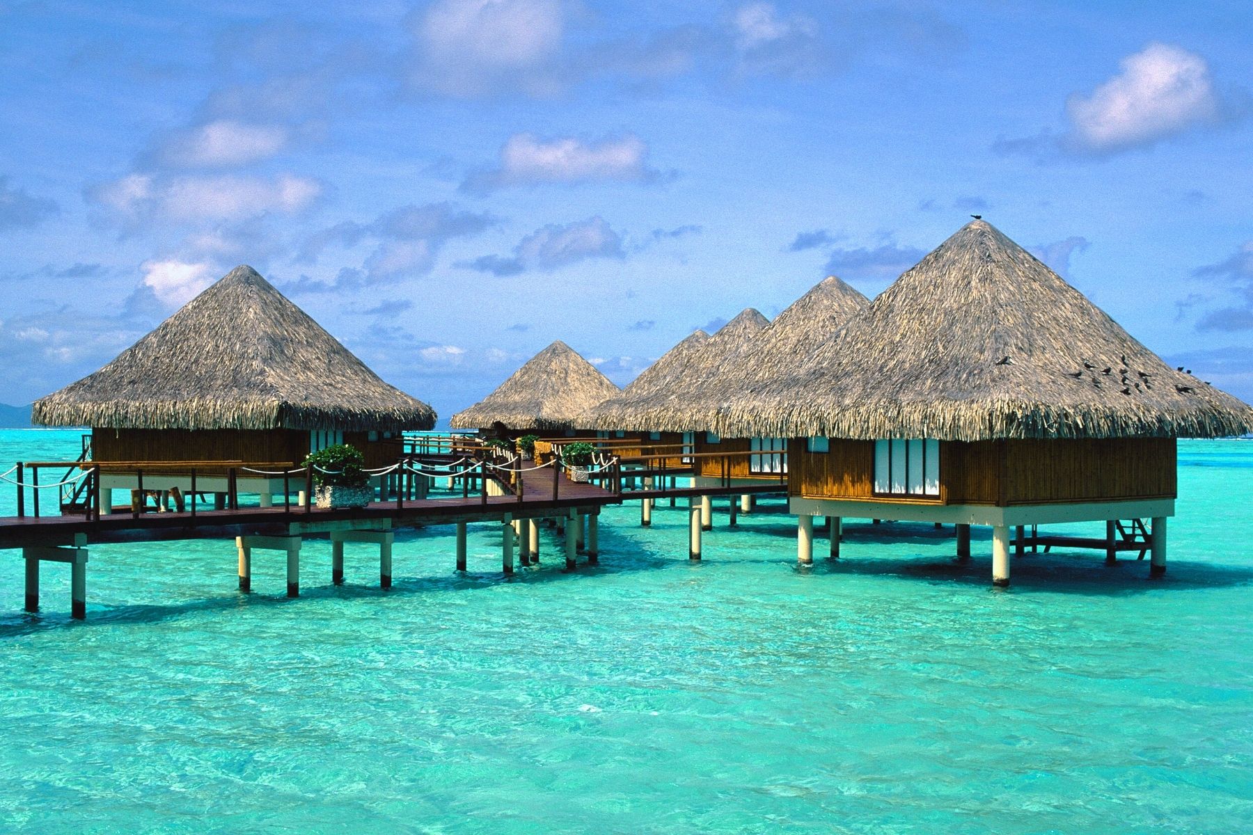 Tropical escape Tropical escape
